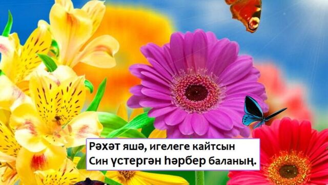 туган кон белэн котлау!!
