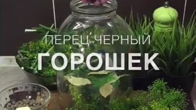 Маринованные огурцы (ингредиенты указаны в описании видео)