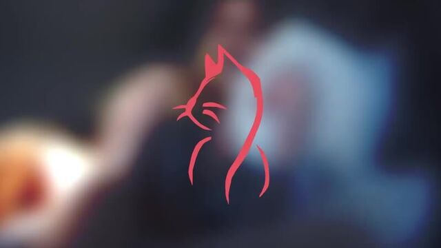 NEUES_AUTO_F__R_WILDEN_HENGST_____VLOG______-_LUCY_CAT_MosCatalogue.net.mp4