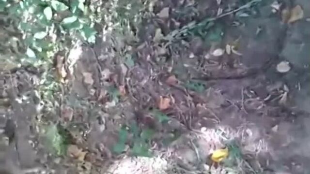 вышла с другом на прогулку, предложил леденец пососать, поняла буквально, отсос в кустах
