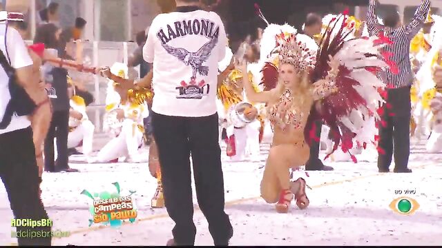 Carnaval 2010 - Samba Parade of the Champions