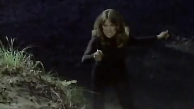 A compilation of erotic scenes from 1960s, 70s, and 80s mainstream cinema