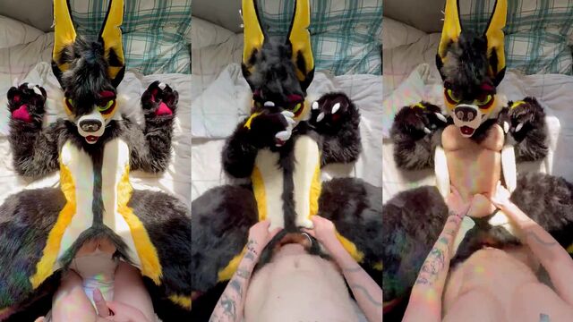 A couple has sex while the girl wears a furry cat costume