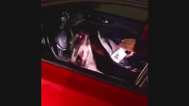 White girl makes a blowjob to BBC in the car without shame