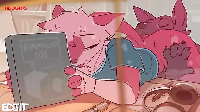 Futa Version of MLP's Rainbow Dash and Fluttershy in a Yiff Compilation