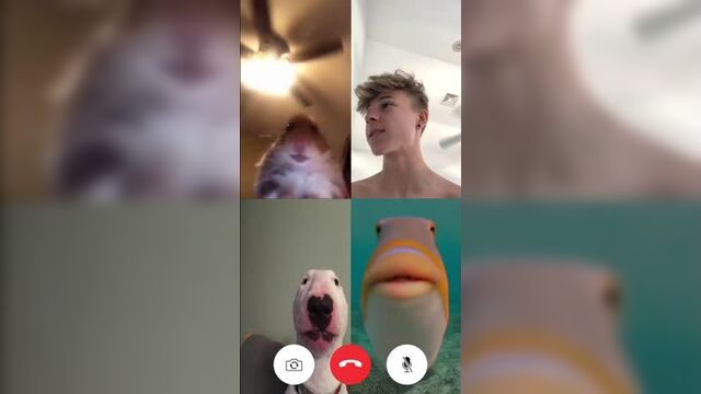 Dylan Hartman 12.07.2020 Instagram Stories