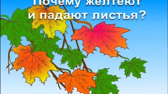 Обучающий мультфильм - Почему желтеют и падают листья Развивающий мультик для детей