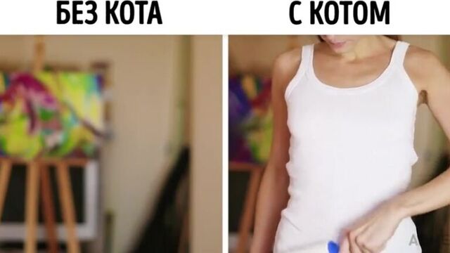 Без кота жизнь не та