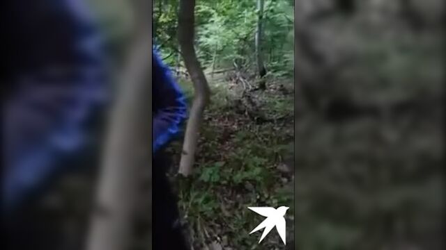 Работайте, братья!" Смерть Магомеда Нурбагандова - полное видео