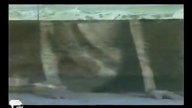 Brigitte Lahaie's sexy video in HD quality