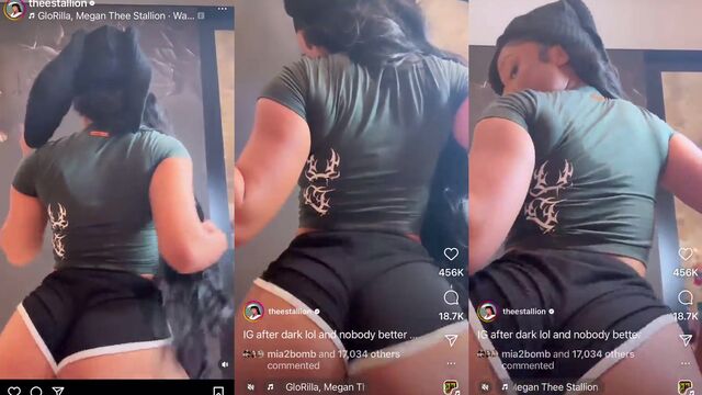 Megan Thee Stallion is a sex goddess in bed