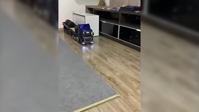 Бибика