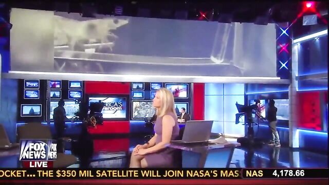 Hot TV anchor Martha Maccallum in sexy pantyhose pics