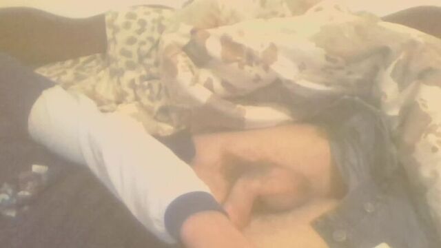 Live: XNXX