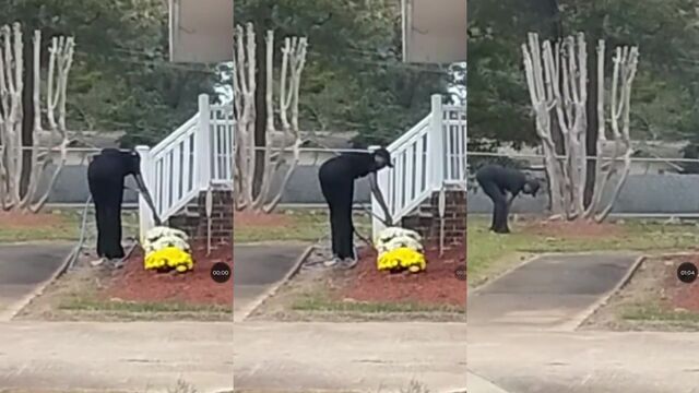 Spying on a stranger with a big ass granny bending over in tights