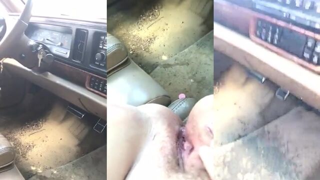 A collection of pictures with a pee splash on the dashboard