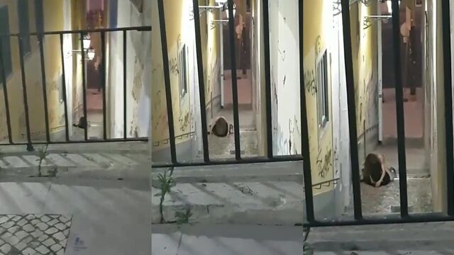 A guy fucked a girl with long legs in the open air