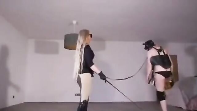A classmate can copy homework for sex with a cute girl