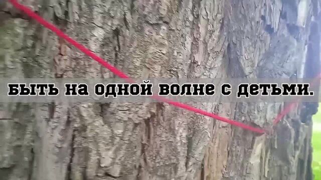 СПО Эйдос