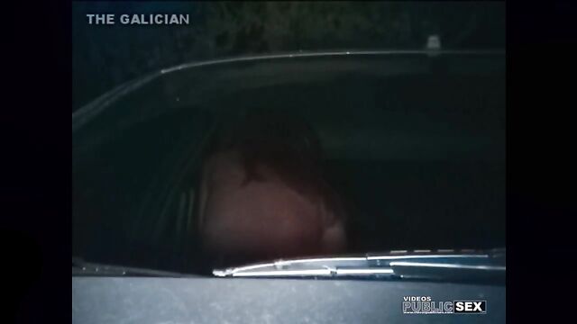 A couple got caught having sex in their car on the street at night
