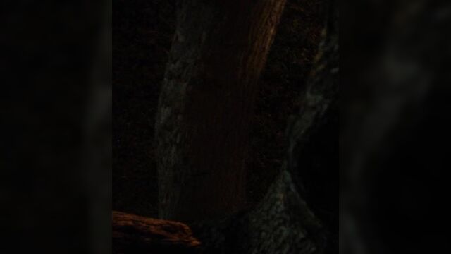 Annabeth Gish Nude - The Bridge s01e06-07 (2014) HD 1080p Watch Online