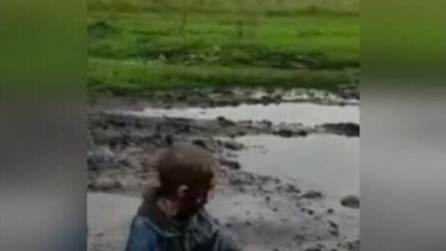 лето в деревне