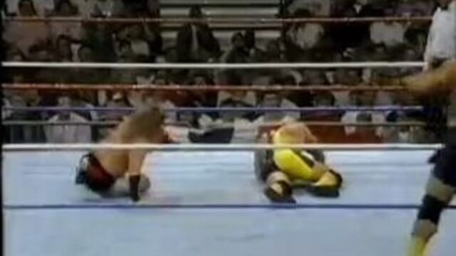 Steiner Brothers vs Heavenly Bodies - 30/8/93