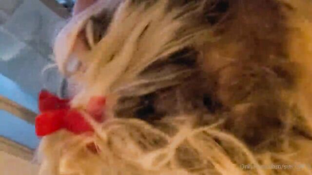 Two guys fucked a young girl, while her boyfriend was on the phone