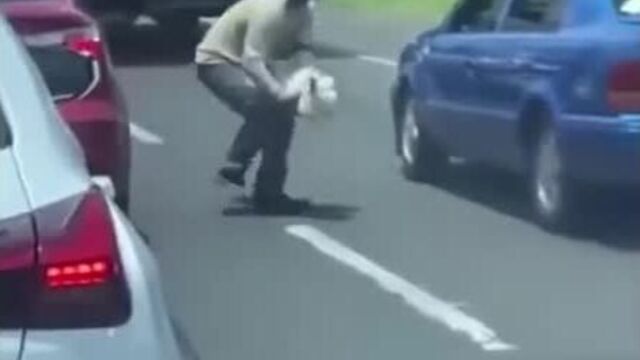 Словил цыпу на дороге