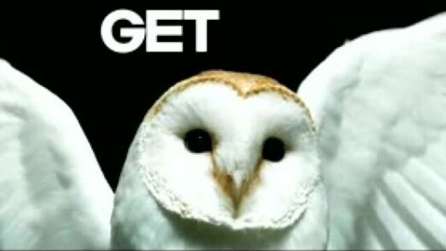 Deftones - Diamond Eyes [FULL SONG W LYRICS]