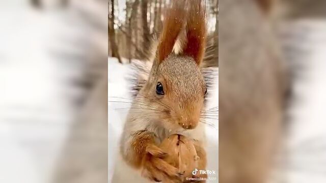 Video by Мы из Кыштыма