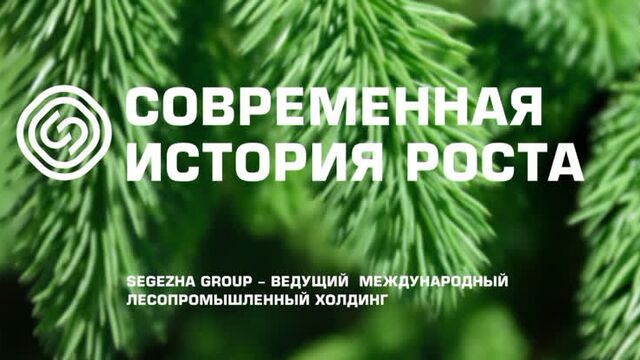 Акции «Сегежи» выросли