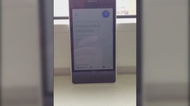 Oкей google, что такое подзалупный творожок?