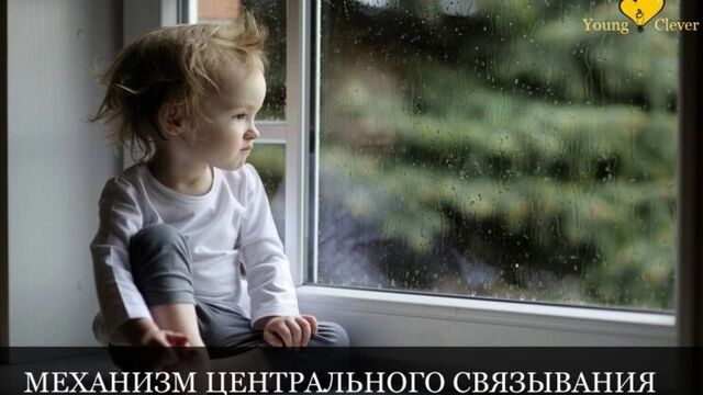 Аутизм Часть 2. (Природные способности мозга. Модель психического Theory of mind. Тест Салли и Энн.)