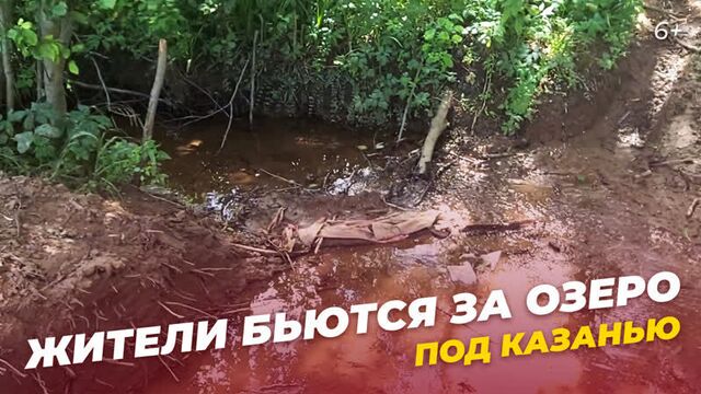 Озеро Богородское под Казанью может исчезнуть из-за высыхания: что говорят экологи и местные жители