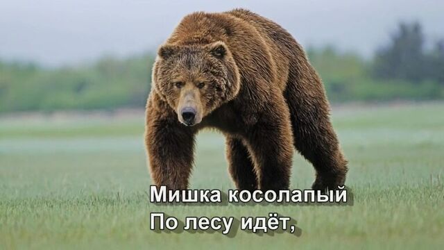 МИШКА КОСОЛАПЫЙ ПО ЛЕСУ ИДЕТ (С БОЛЬШИМИ СУБТИТРАМИ) Песенки для самых маленьких