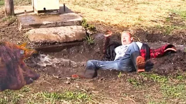 [FailArmy] People Vs Animals: Funny Animal Fails Compilation