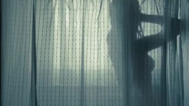 Аманда Сайфред , Эмили Уикершем - Игра на выживание / Amanda Seyfried , Emily Wickersham - Gone ( 2012 )
