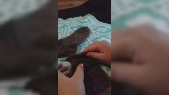 Пятка "БУМЕРАНГ"
