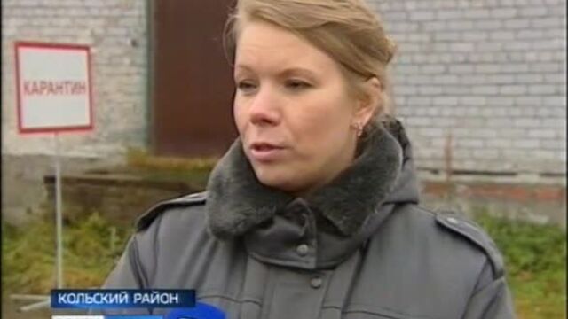 10.10.2019 ГТРК Мурман В Кольском Заполярье состоялась учебная тренировка по ликвидации вспышки гриппа птиц