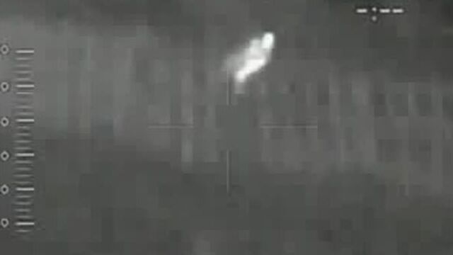 мутанты чернобыля