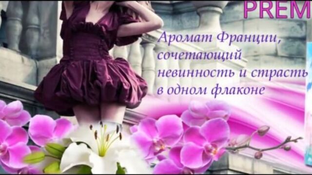 Новинки парфюмерии 2017 Ароматы Bonamor Новая коллекция Premier Новости компании духи парфюм
