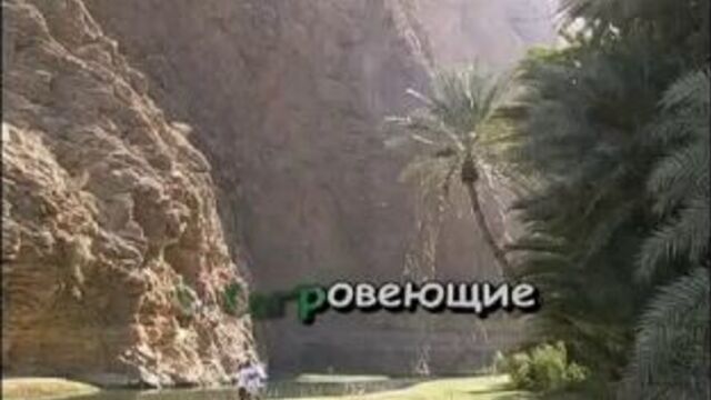Мохнатый Шмель караоке