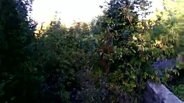 ..."Ааа, а я думал сова"