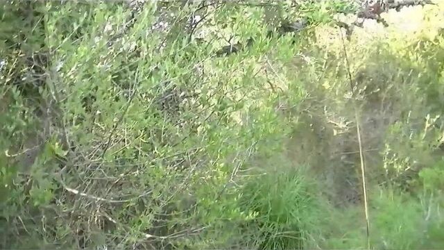 Анал в деревне на природе | Deepthroat and anal in the wild