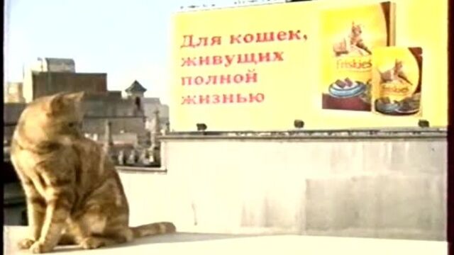 Анонс и реклама (Первый канал, 30.05.2009) 2