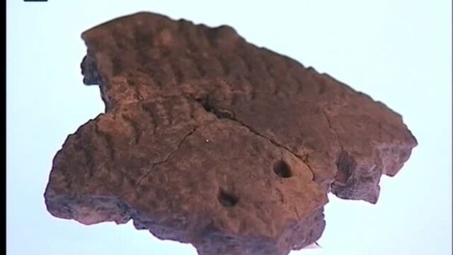 Омичам показали костяной доспех, обнаруженный на раскопках «Стоянки Омской»