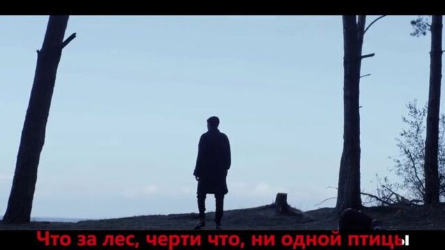 Если бы песня была о том что происходит в клипе ALEKSEEV Пьяное солнце Алексеев