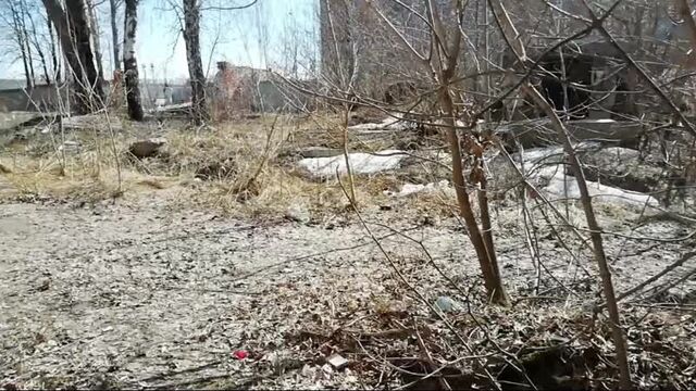 ПСС, апрель
