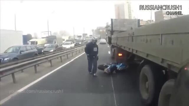 Беспечный сральник - 38 попугаев